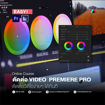 Premierepro-course-online